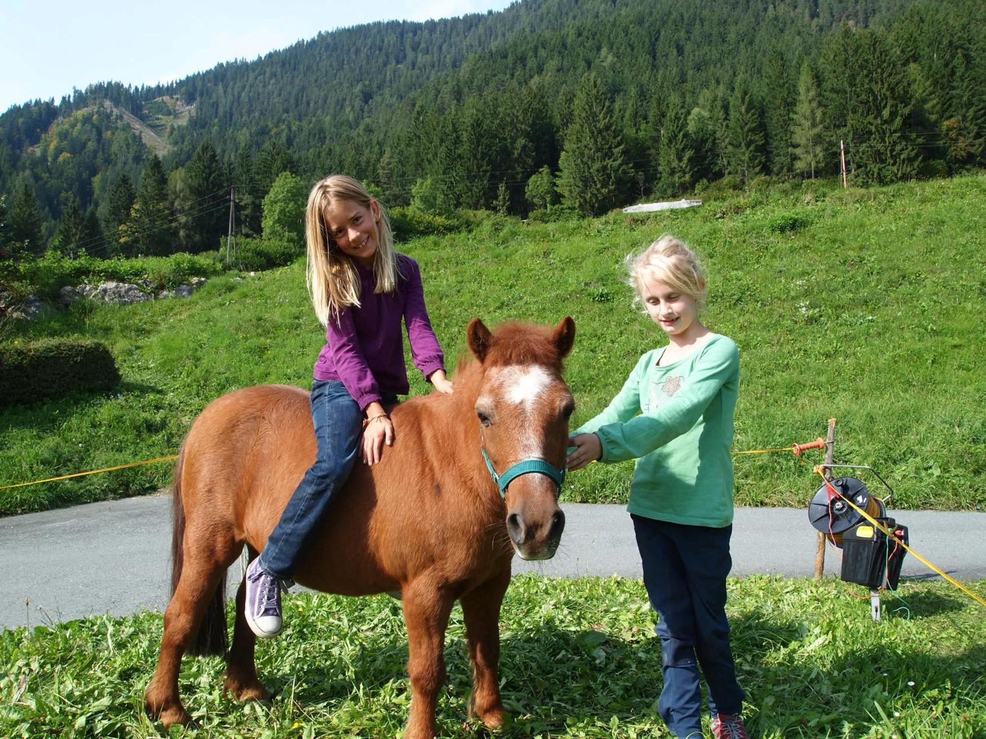 Ferienhof Obergasser Und Bergblick Вайсензее Екстериор снимка